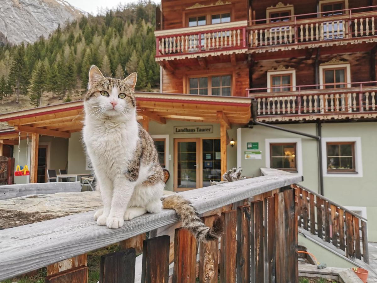 Landhaus Taurer Kals-am Großglockner Extérieur photo
