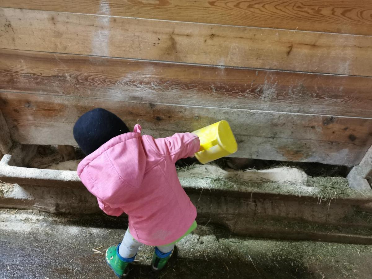 Landhaus Taurer Kals-am Großglockner Extérieur photo