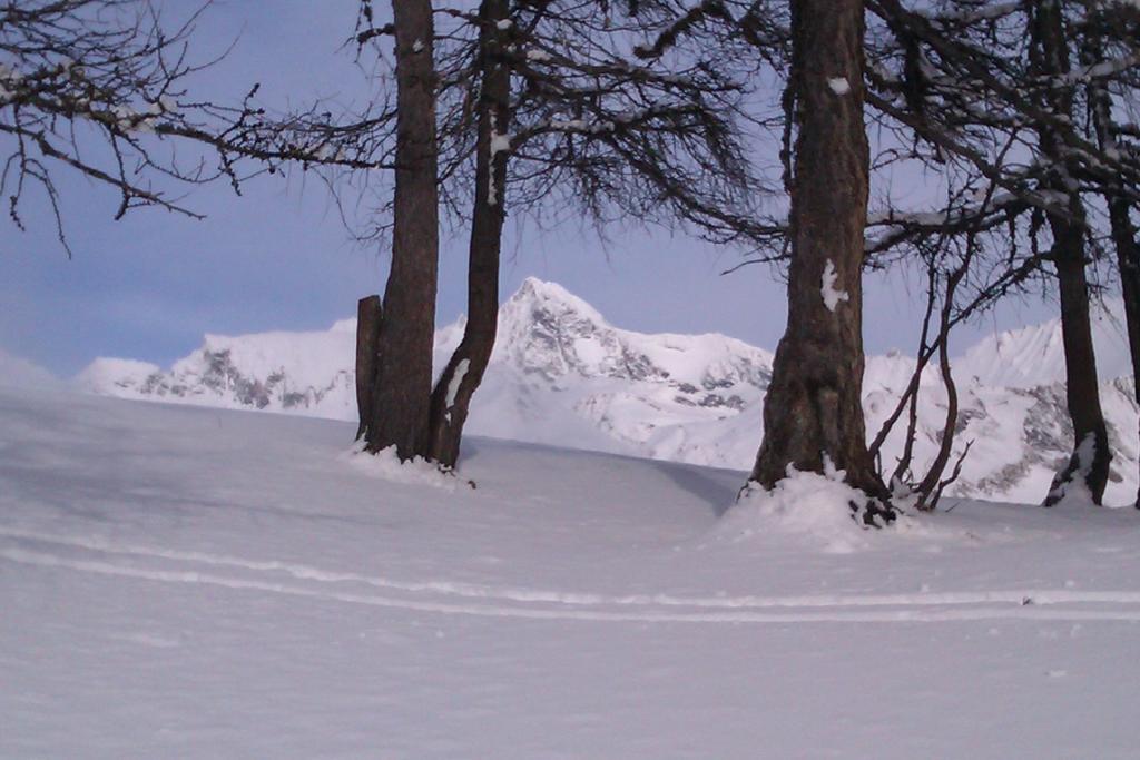 Landhaus Taurer Kals-am Großglockner Extérieur photo